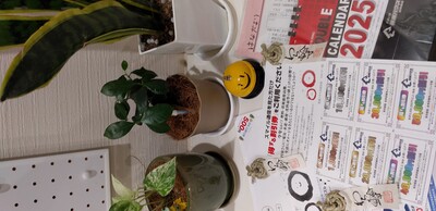 20251025わら輪す.jpg