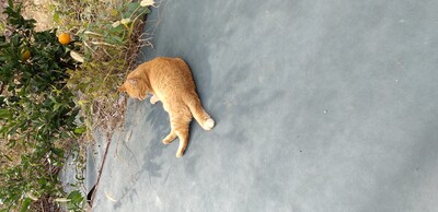 20251106お目目ちゃん1.jpg