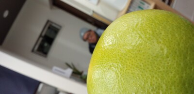 20251229黄色.jpg