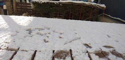 20260103デッキ雪.jpg