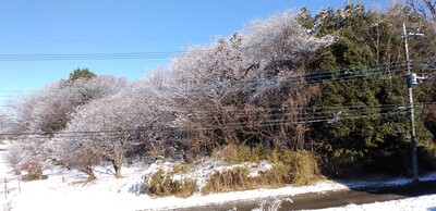 20260105北の雪.jpg