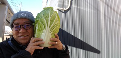 20260118白菜.jpg