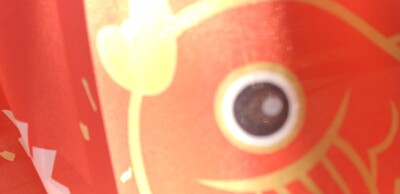 20260206鯛のぼり.jpg