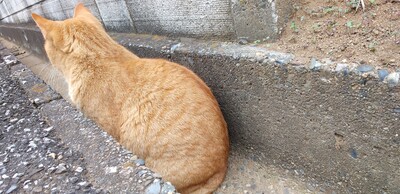 20260213の後ろ姿.jpg