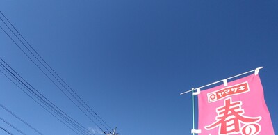 20260510のぼり旗.jpg