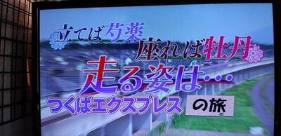 20260608ぼたん.jpg