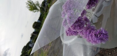 20260625写真.jpg